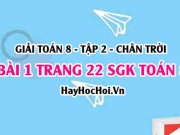 Bài 1 trang 22 Toán 8 Tập 2 Chân trời sáng tạo: Hàm Số Bậc...